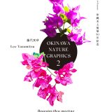 okinawanaturegraphics flyer visual