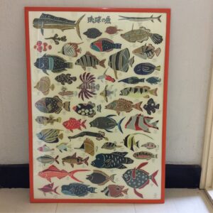 ポスター　琉球の魚